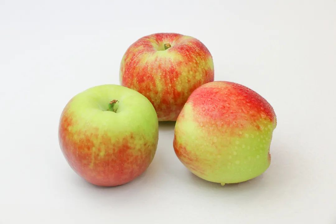 ia_100000545.jpg