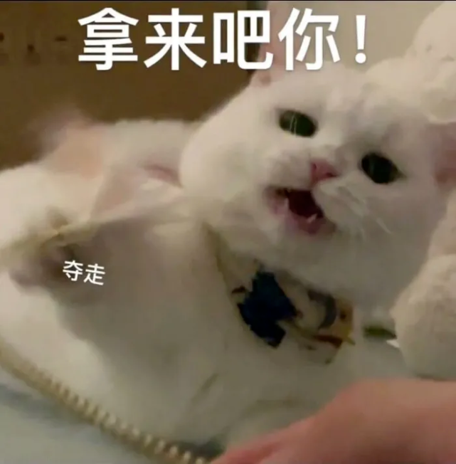 ia_100000016.png