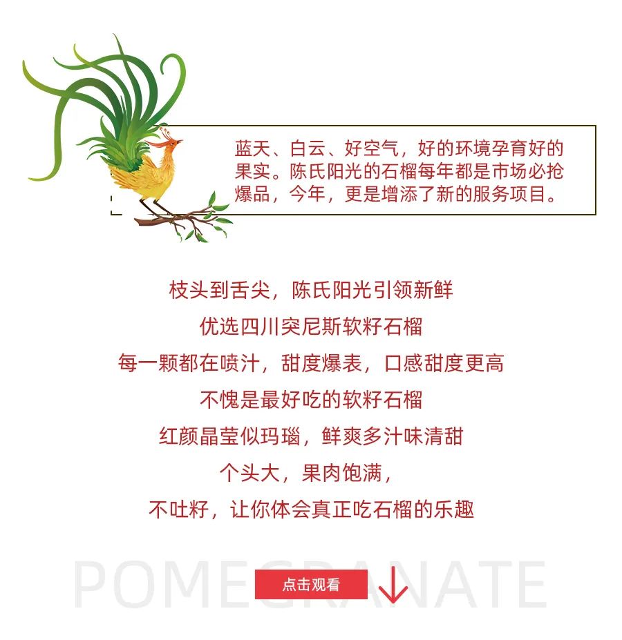 ia_300000617.jpg