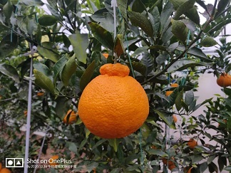 ia_100001279.jpg