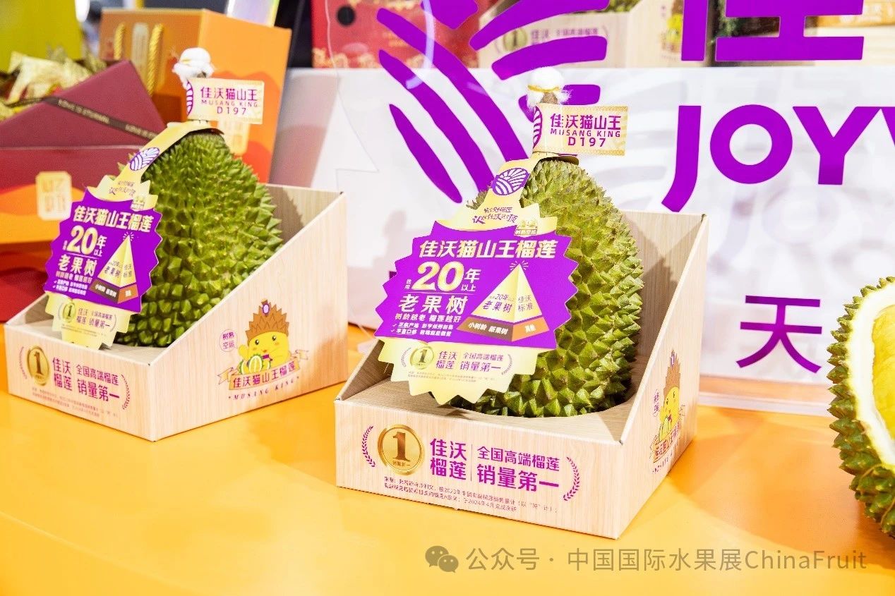 微信图片_20241111143837.jpg