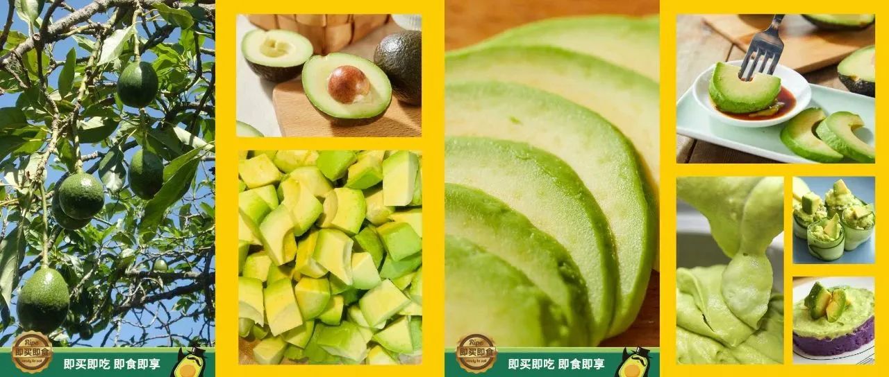 微信图片_20250701143206.jpg