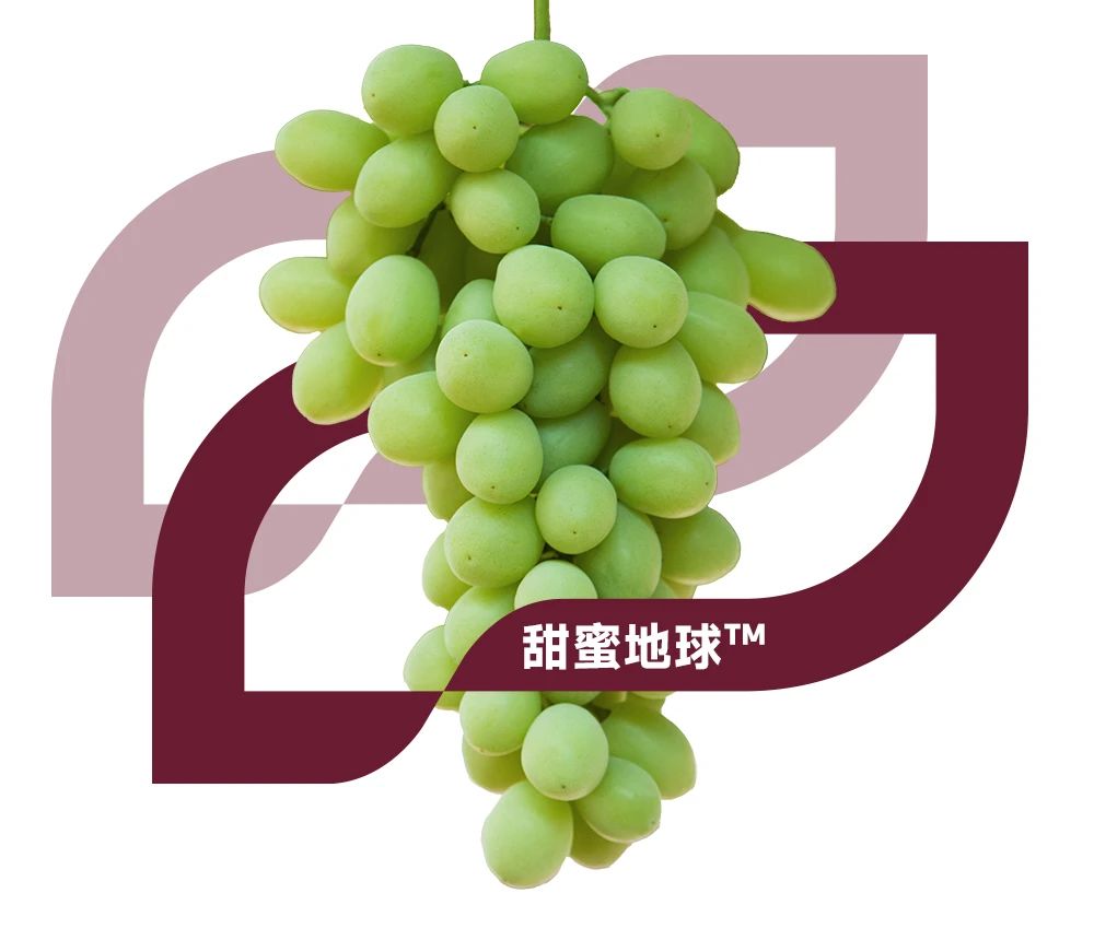 微信图片_20250714104342.jpg
