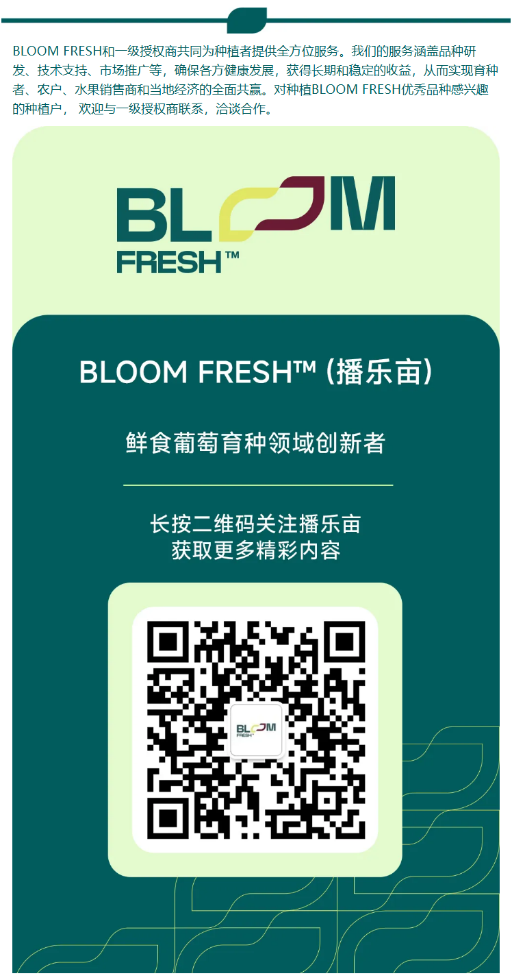 微信图片_20250717130647.png