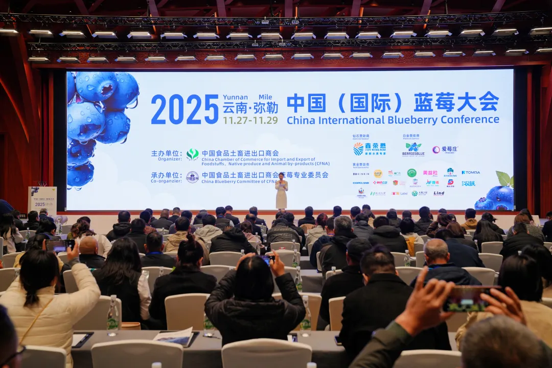 1764663466397128.png 0.png