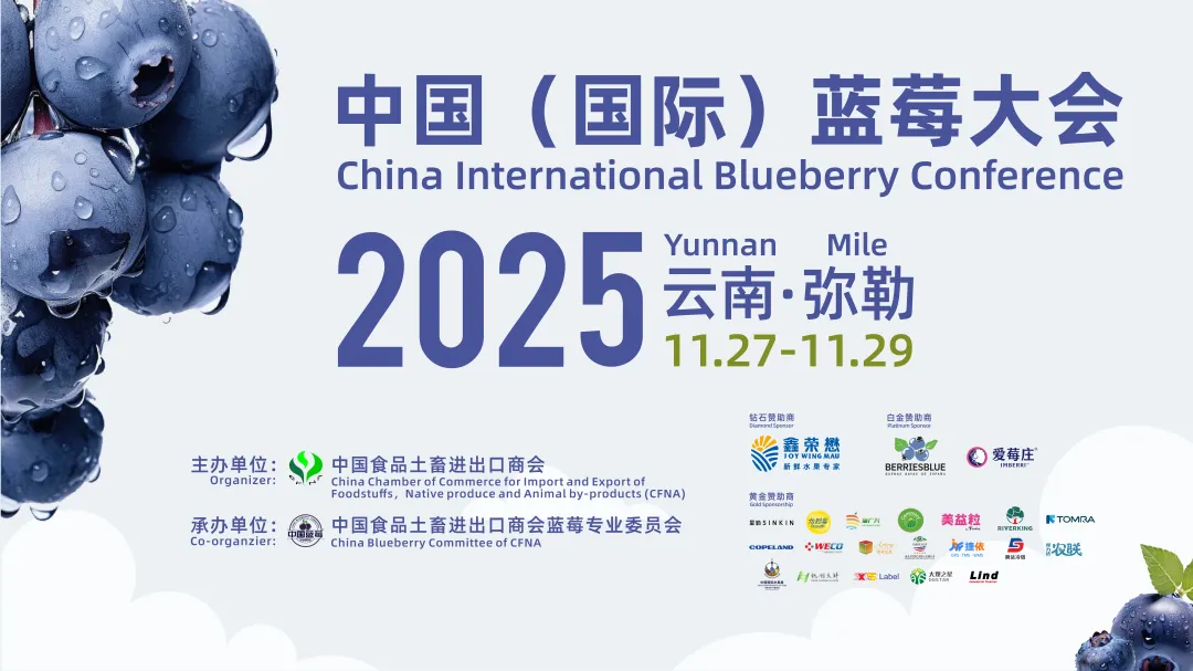 1764663473173660.png 2.png