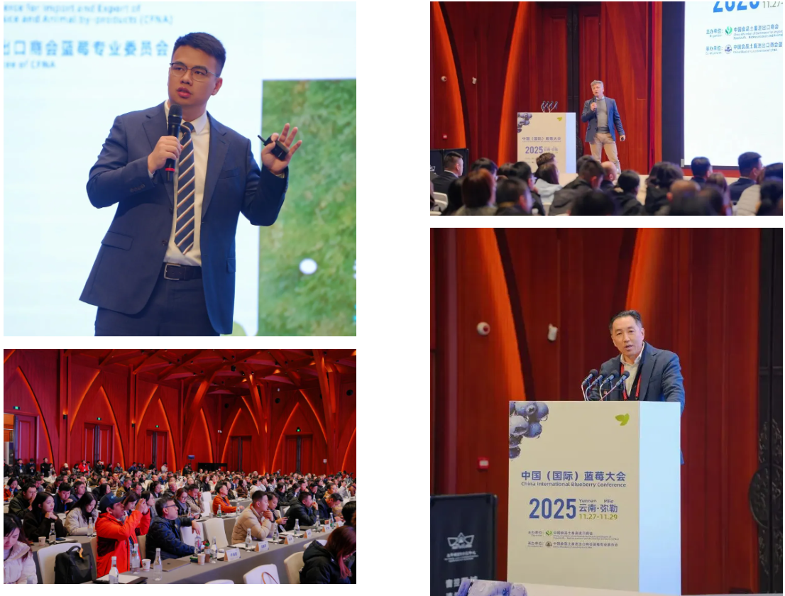 1764663991865373.png 3.png