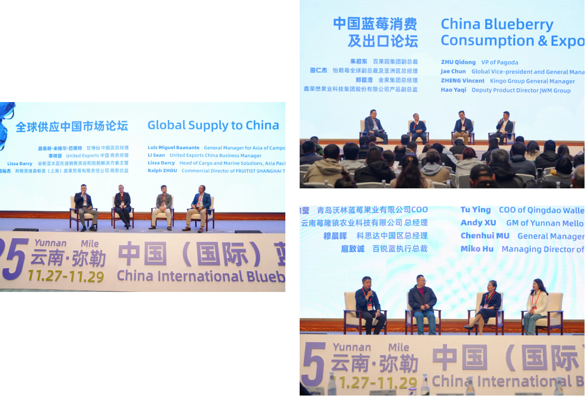 1764664005233625.png 4_结果.png