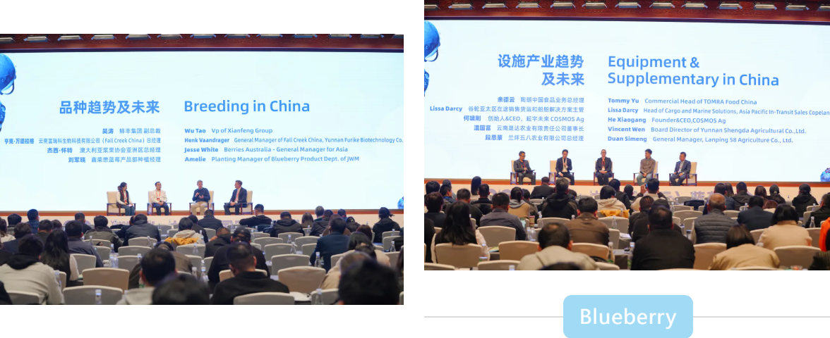 1764664023896960.png 5_结果.png