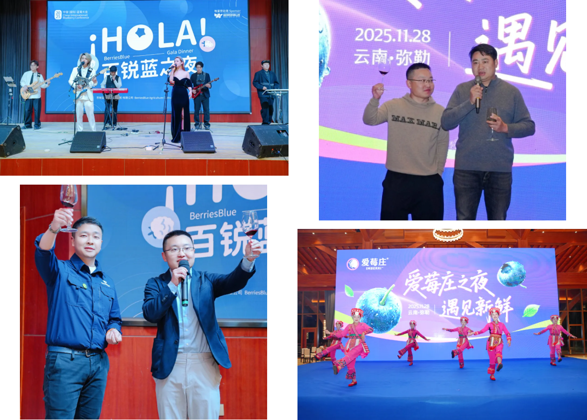 1764664050215301.png 6_结果.png