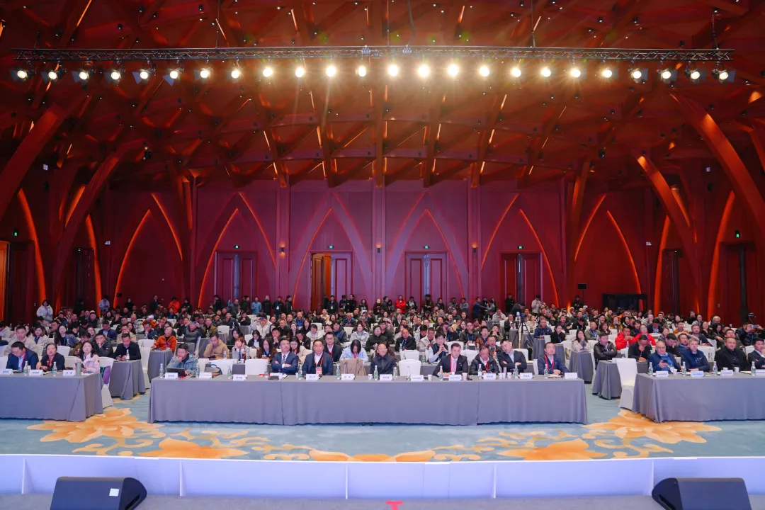 1764664093345040.png 8.png