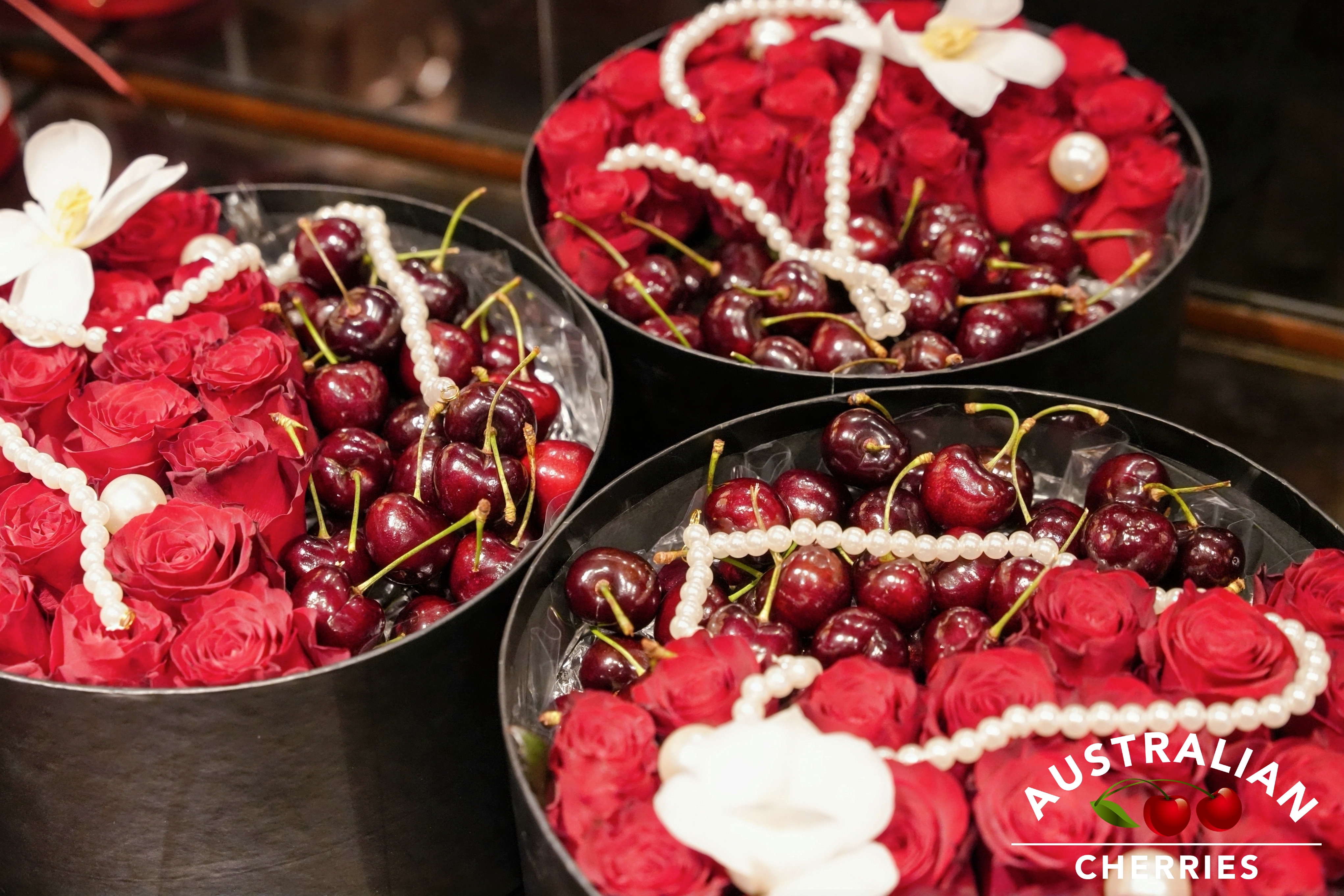 1765273829336734.jpg 微信图片_20251209110053_482_75.jpg