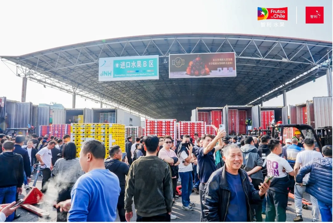 1765510631226135.png 640 (1)_结果.png