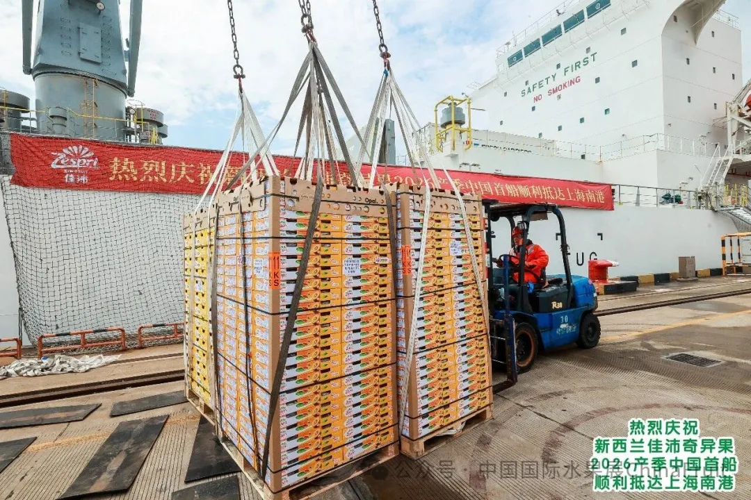 1774947333408474.png 2_结果.png