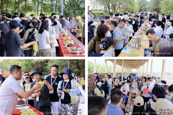 1784254867813967.png 图片1.png