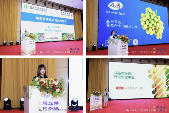 1784255300466216.png 图片3.png